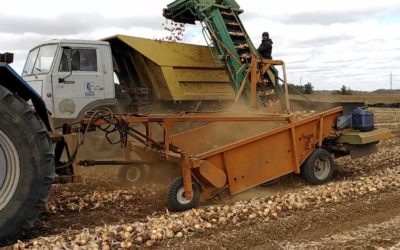 Основные нюансы работы комбайна для уборки лука